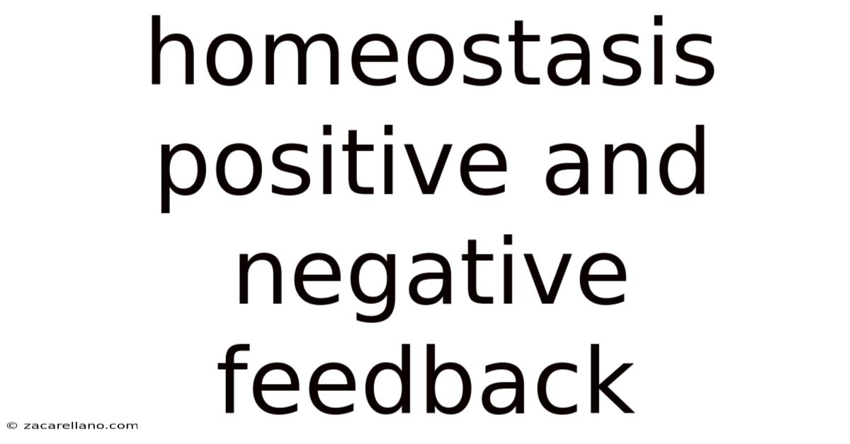 Homeostasis Positive And Negative Feedback