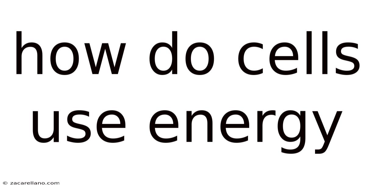 How Do Cells Use Energy