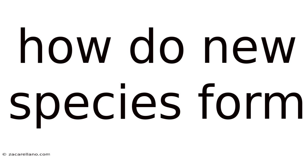 How Do New Species Form