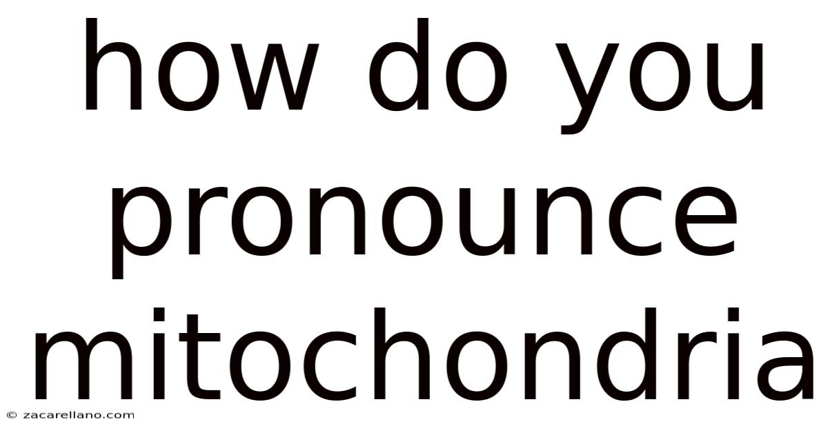 How Do You Pronounce Mitochondria