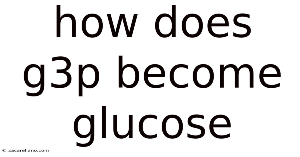 How Does G3p Become Glucose