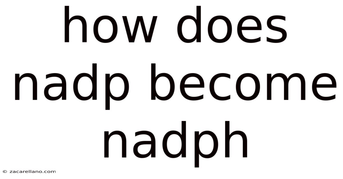 How Does Nadp Become Nadph