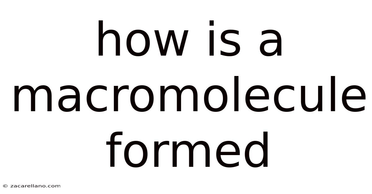 How Is A Macromolecule Formed