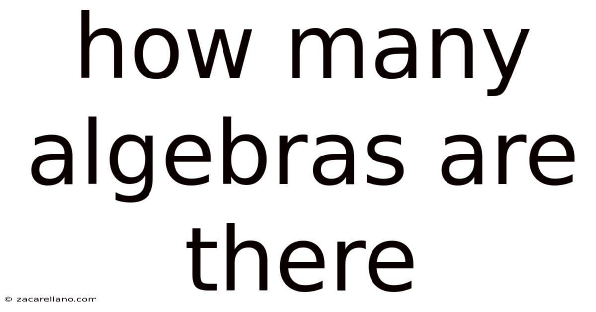 How Many Algebras Are There