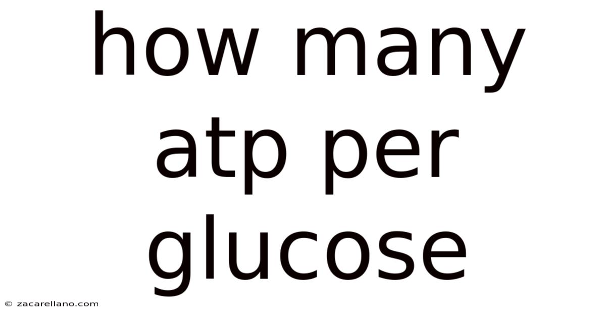How Many Atp Per Glucose