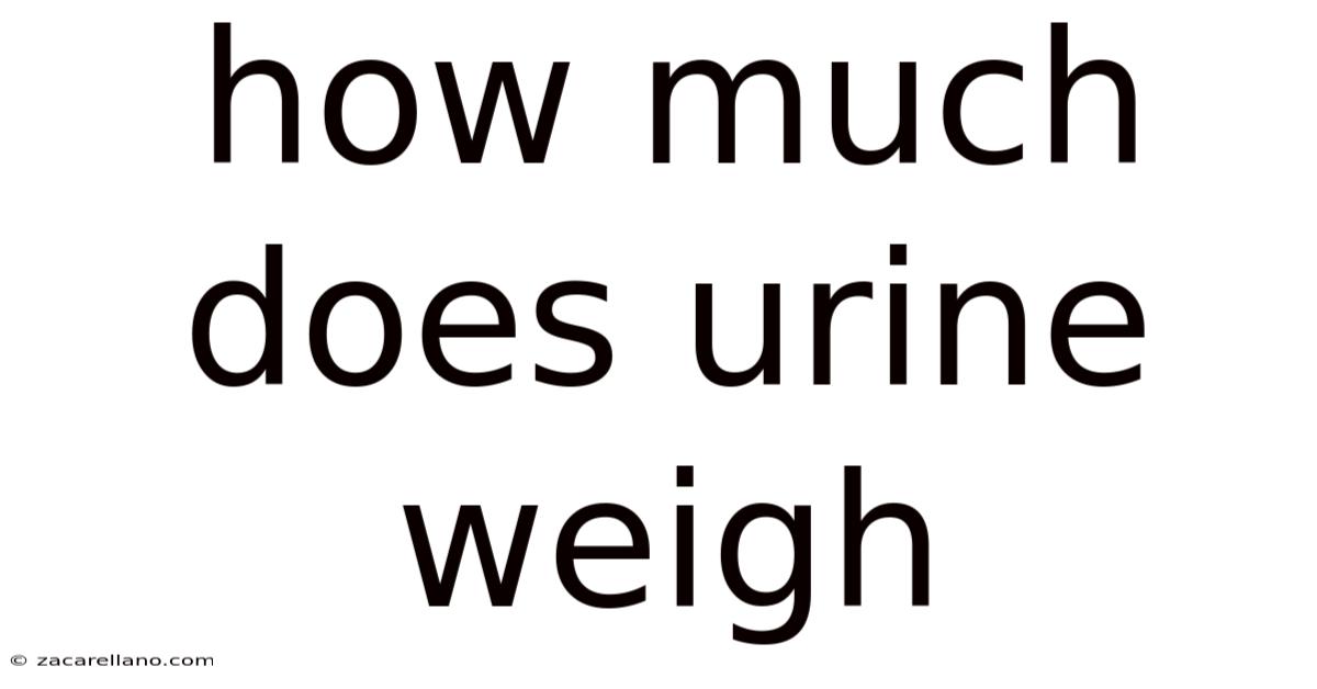 How Much Does Urine Weigh