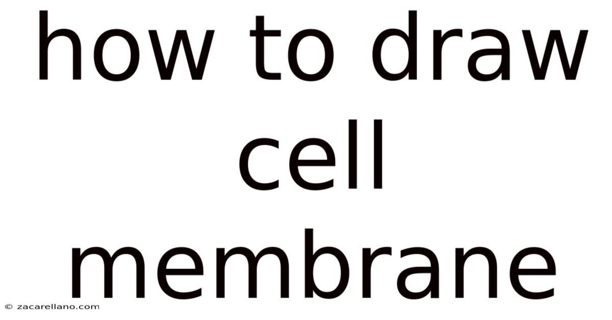 How To Draw Cell Membrane