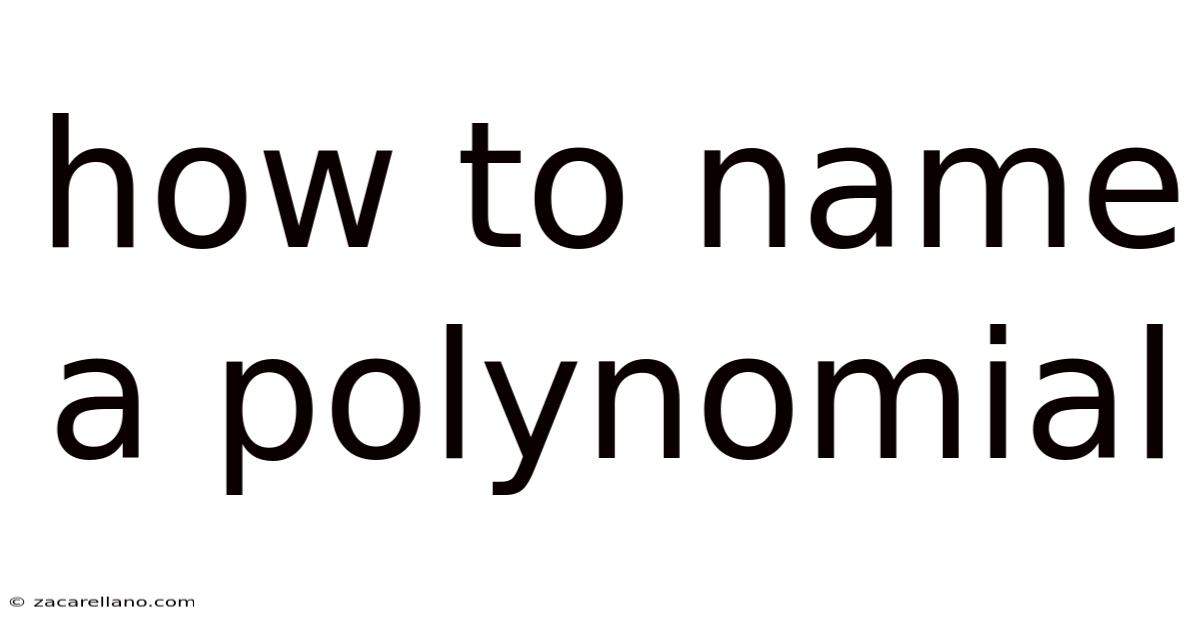 How To Name A Polynomial