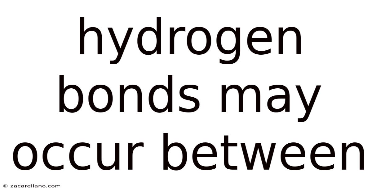 Hydrogen Bonds May Occur Between