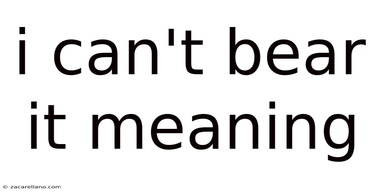 I Can't Bear It Meaning