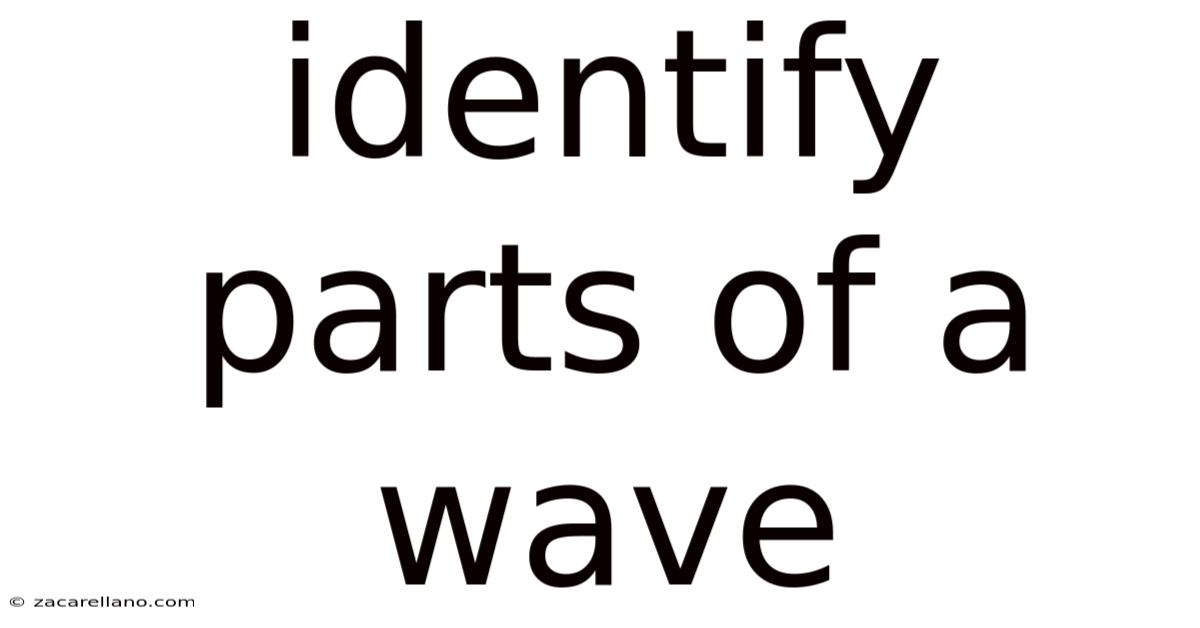 Identify Parts Of A Wave