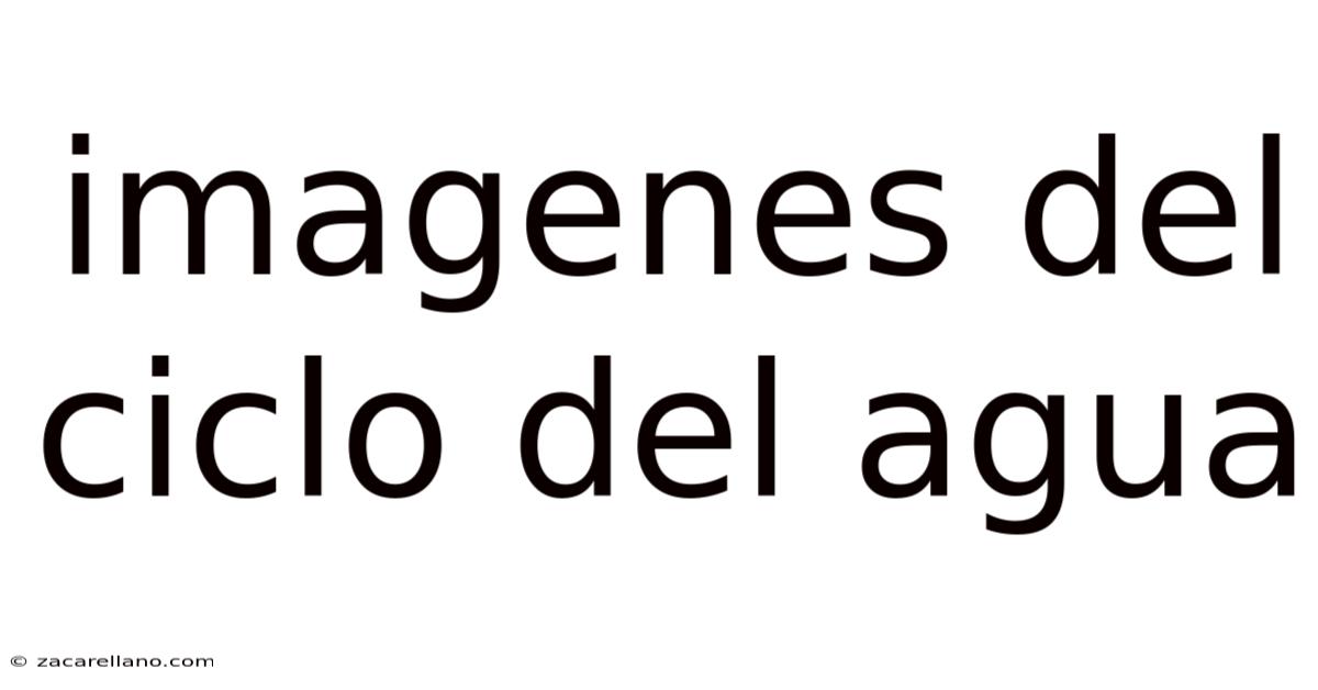 Imagenes Del Ciclo Del Agua