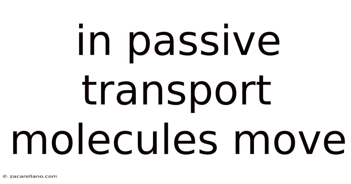 In Passive Transport Molecules Move