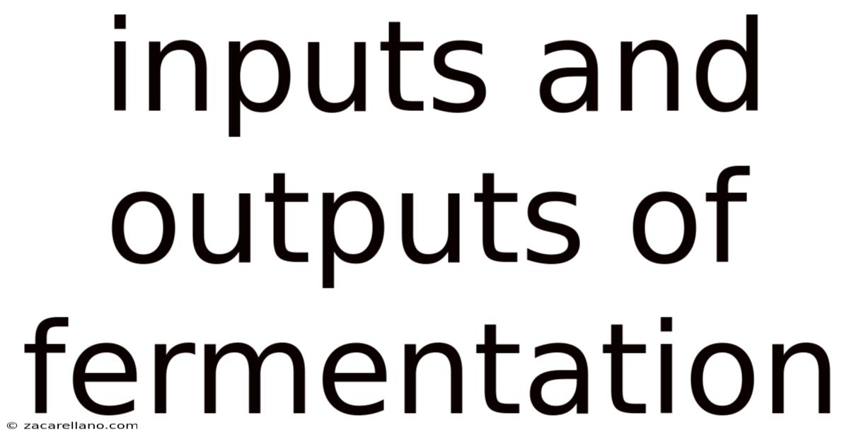 Inputs And Outputs Of Fermentation