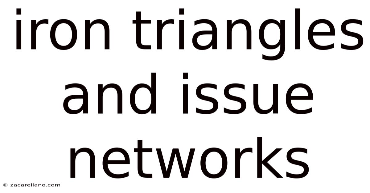Iron Triangles And Issue Networks