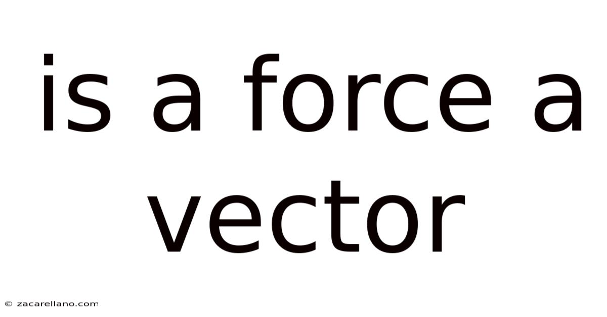 Is A Force A Vector