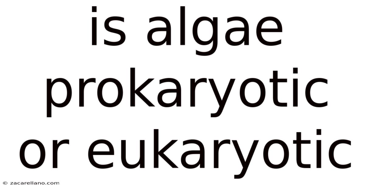 Is Algae Prokaryotic Or Eukaryotic