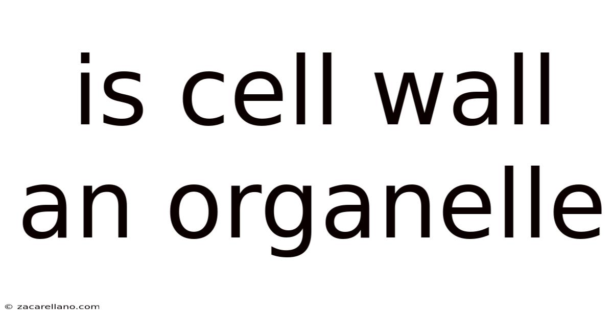 Is Cell Wall An Organelle