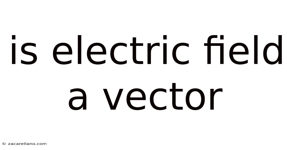 Is Electric Field A Vector