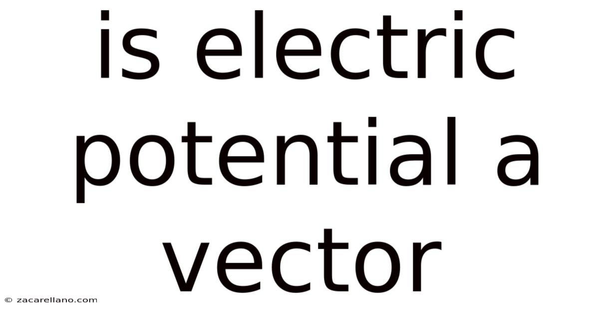 Is Electric Potential A Vector