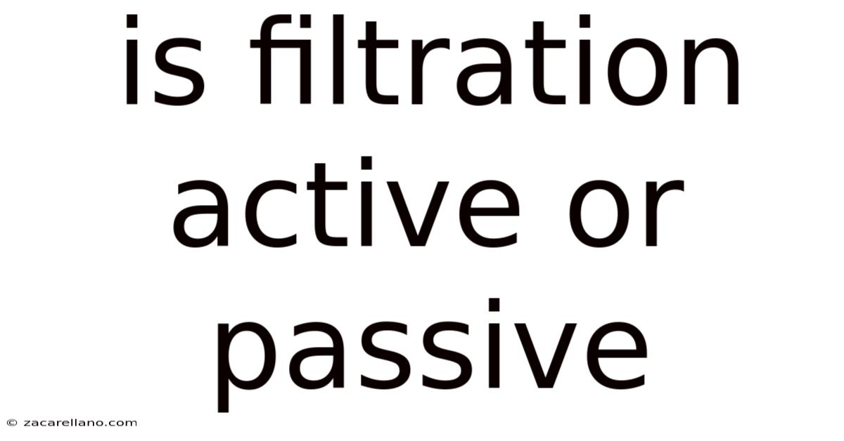Is Filtration Active Or Passive