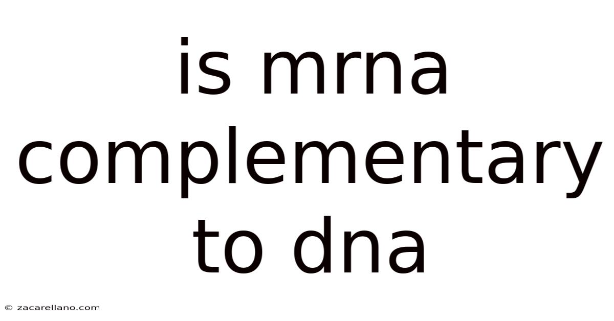 Is Mrna Complementary To Dna