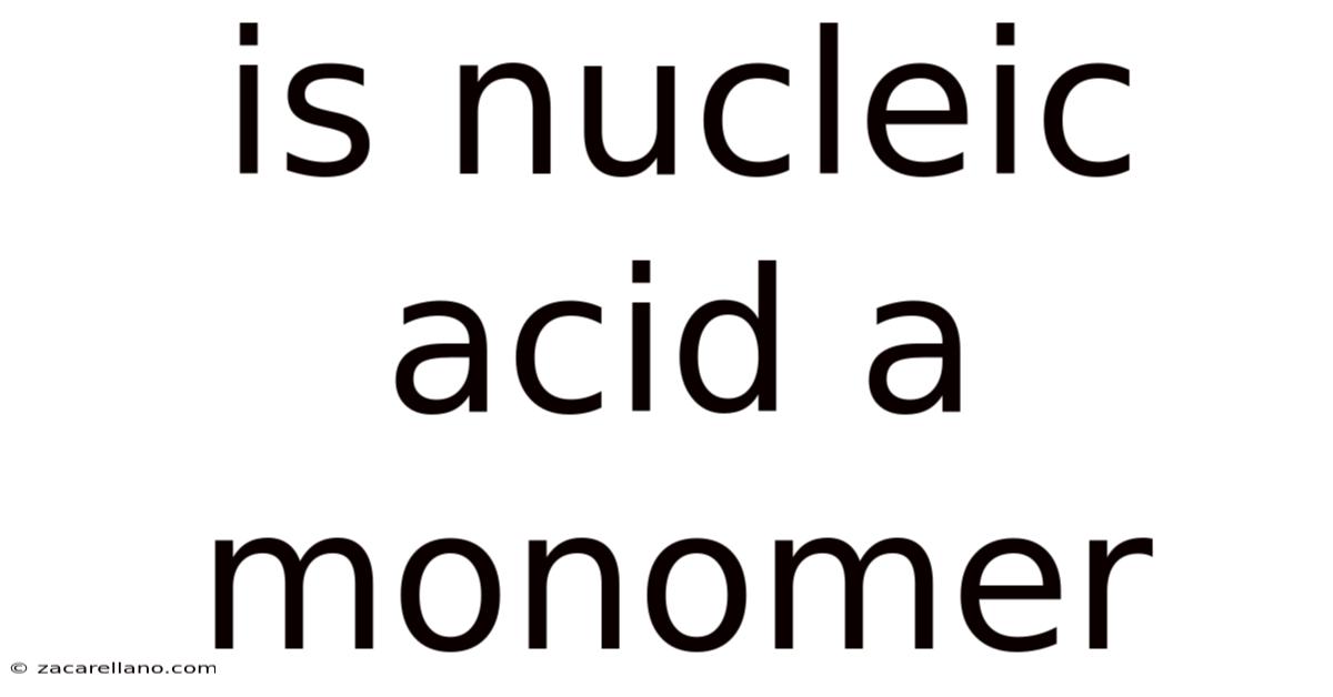 Is Nucleic Acid A Monomer