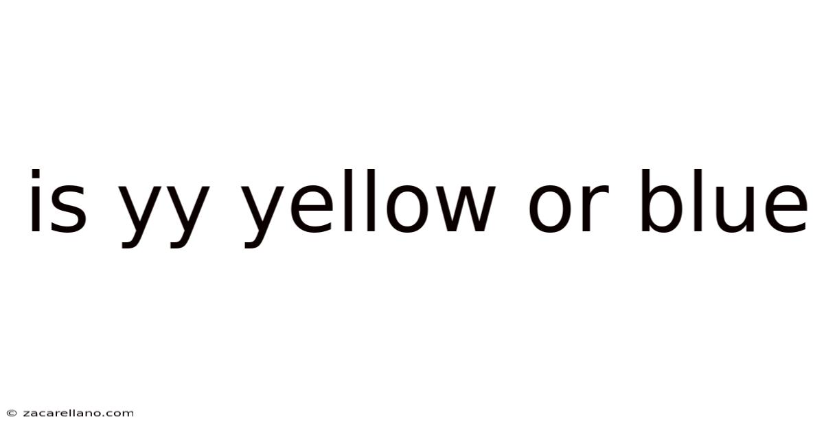 Is Yy Yellow Or Blue
