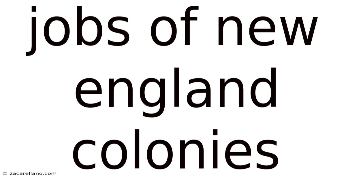 Jobs Of New England Colonies