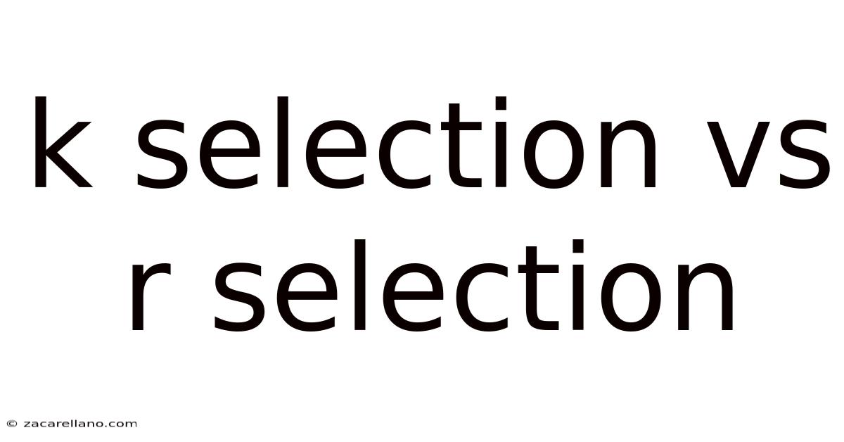 K Selection Vs R Selection