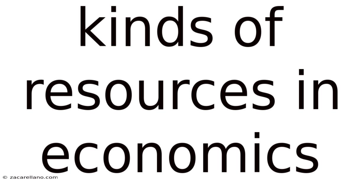 Kinds Of Resources In Economics