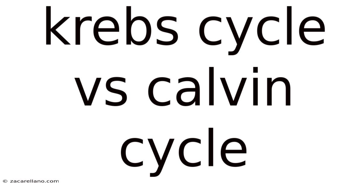 Krebs Cycle Vs Calvin Cycle