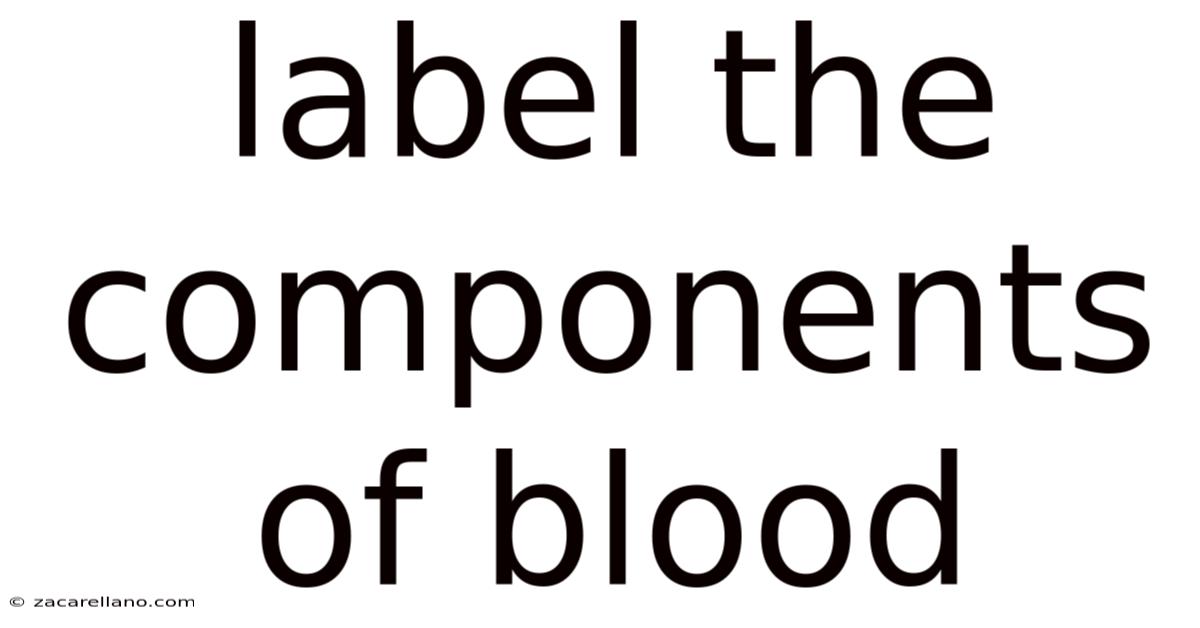 Label The Components Of Blood