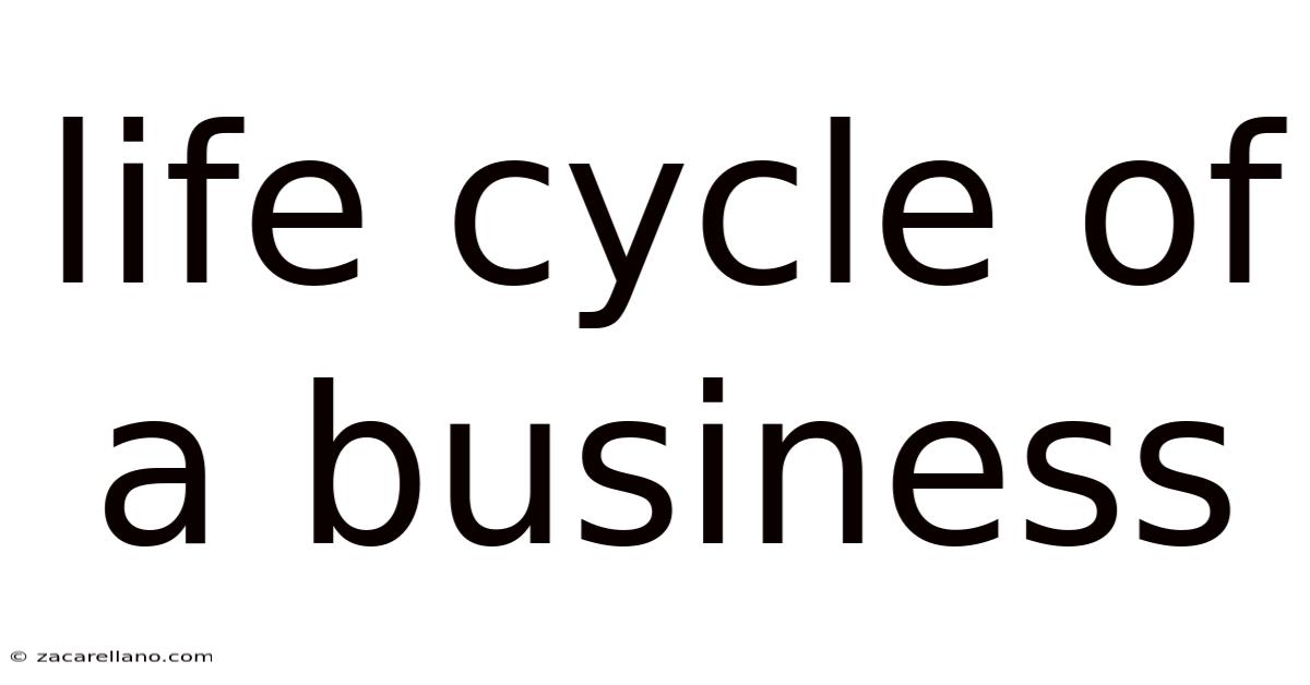 Life Cycle Of A Business