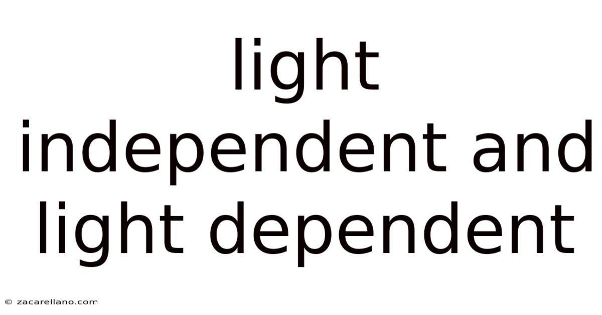 Light Independent And Light Dependent