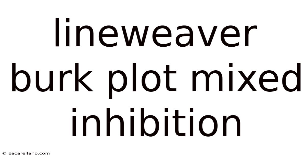 Lineweaver Burk Plot Mixed Inhibition