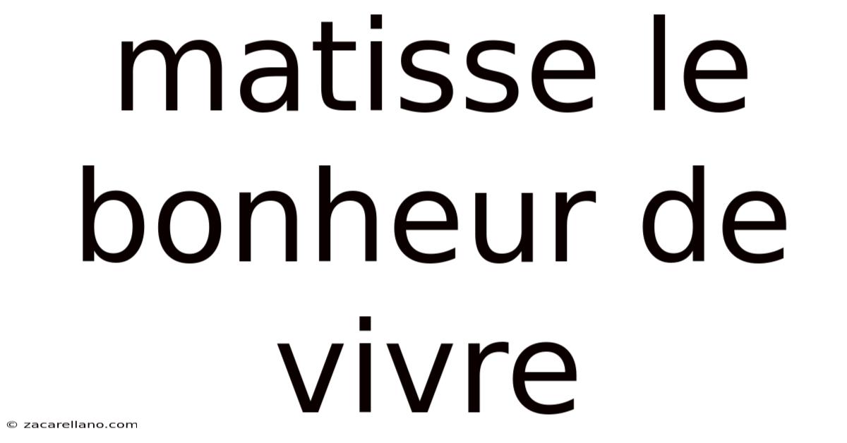 Matisse Le Bonheur De Vivre
