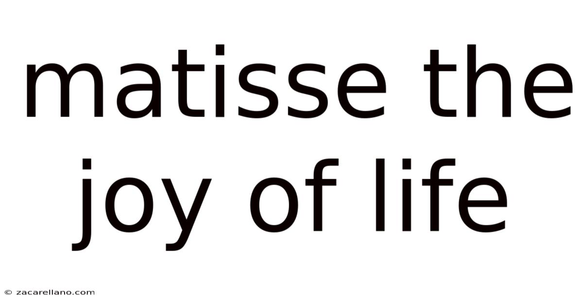Matisse The Joy Of Life