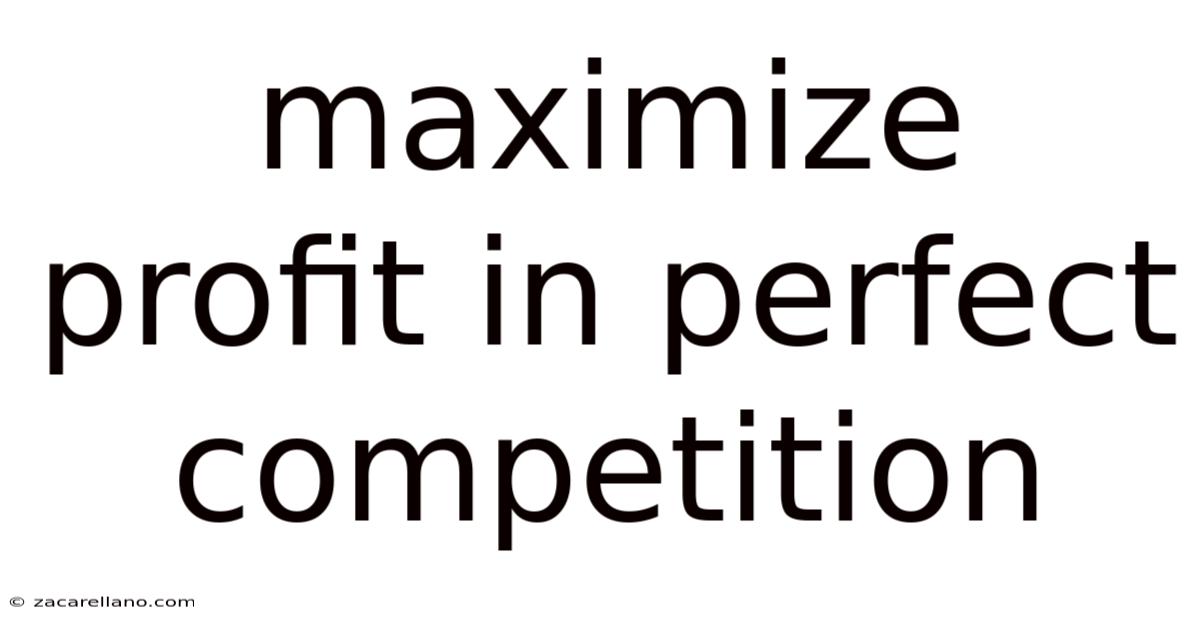 Maximize Profit In Perfect Competition