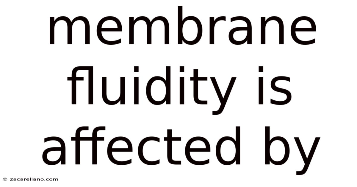 Membrane Fluidity Is Affected By