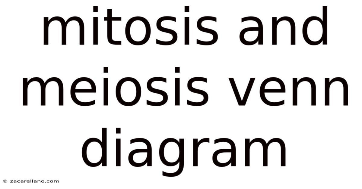 Mitosis And Meiosis Venn Diagram