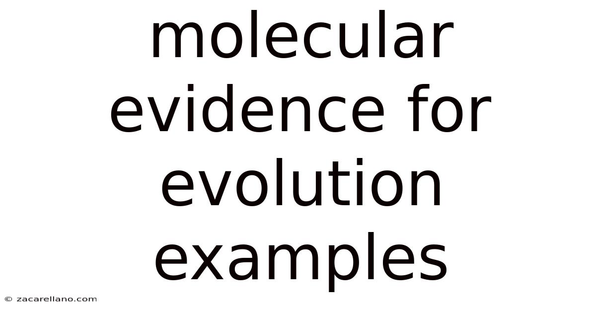 Molecular Evidence For Evolution Examples