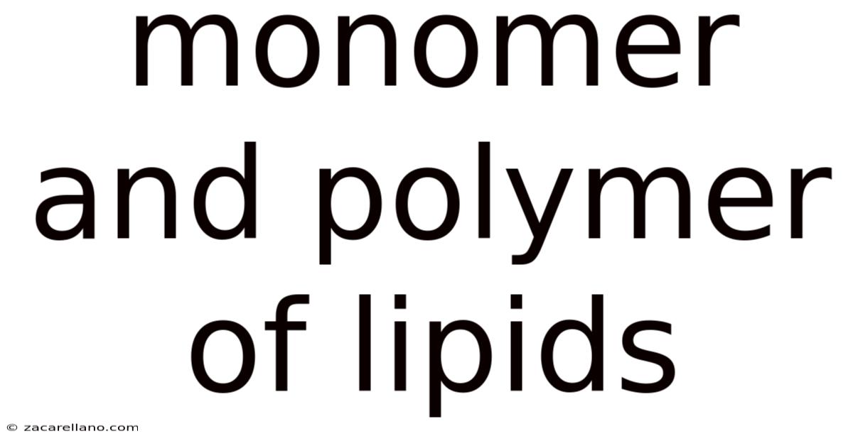 Monomer And Polymer Of Lipids
