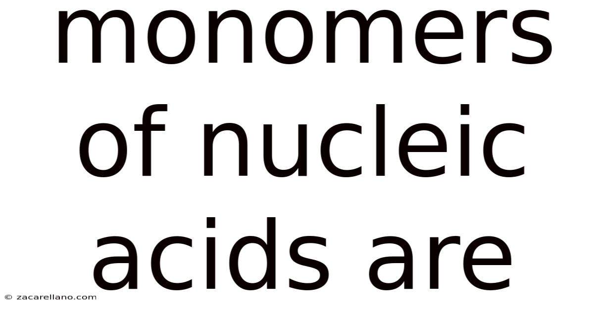 Monomers Of Nucleic Acids Are