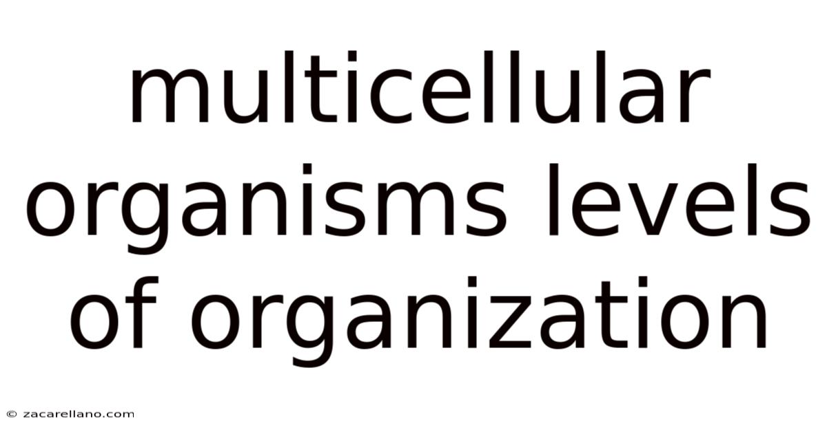 Multicellular Organisms Levels Of Organization