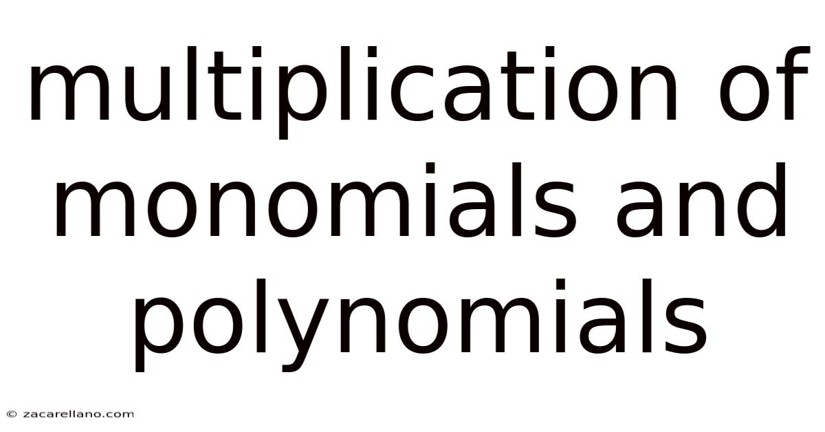 Multiplication Of Monomials And Polynomials
