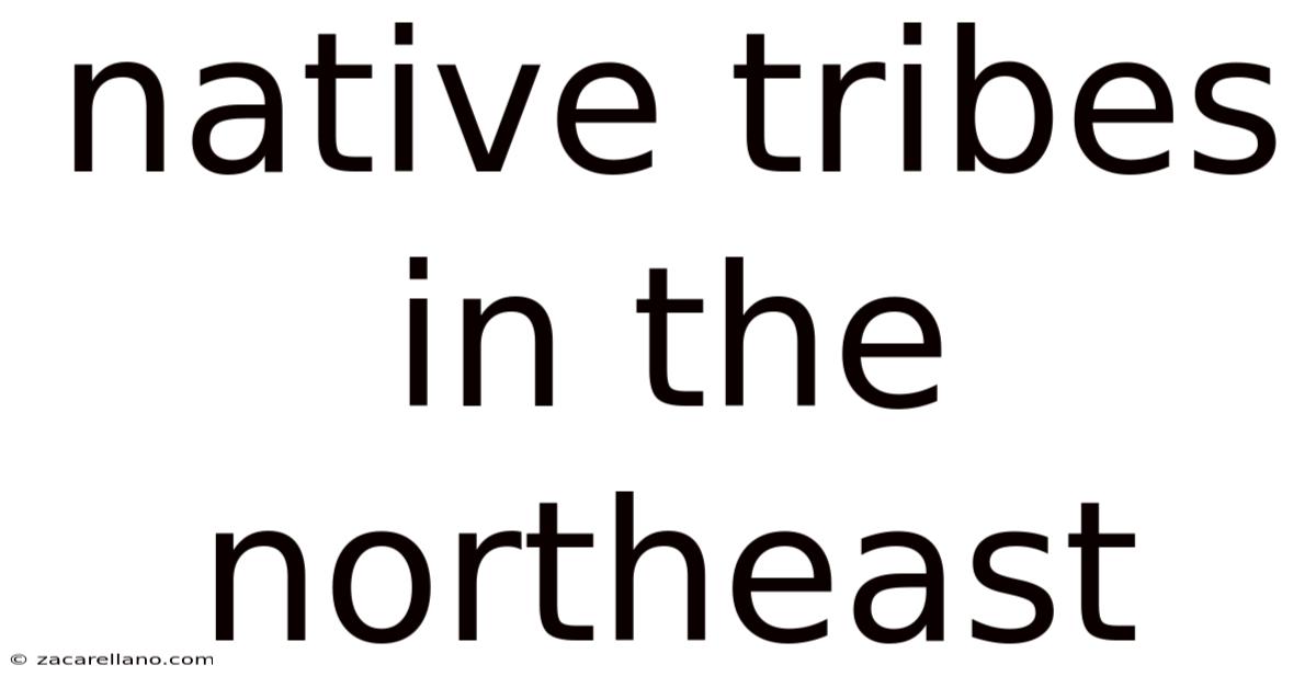 Native Tribes In The Northeast