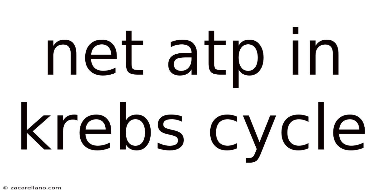 Net Atp In Krebs Cycle