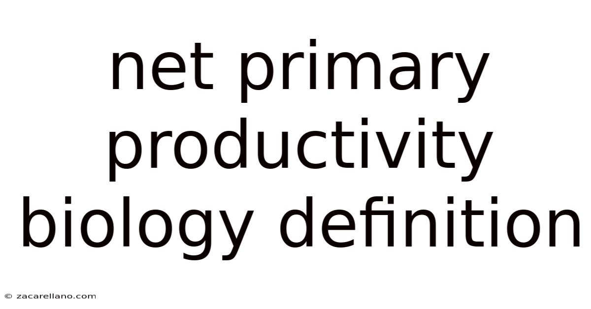 Net Primary Productivity Biology Definition