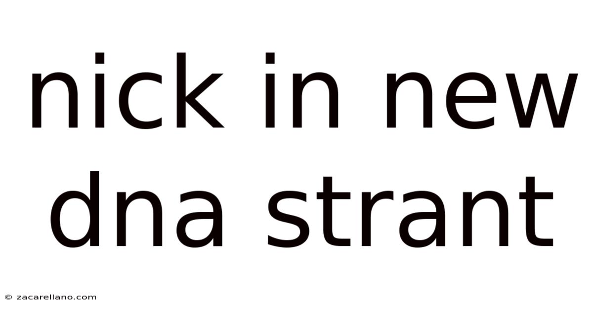 Nick In New Dna Strant